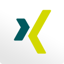 Xing Icon